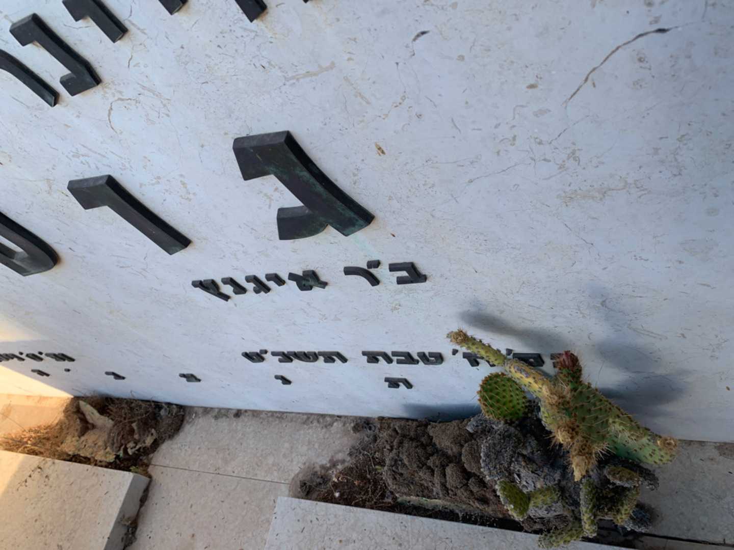 קברו של היינריך גוטליב. תמונה 3