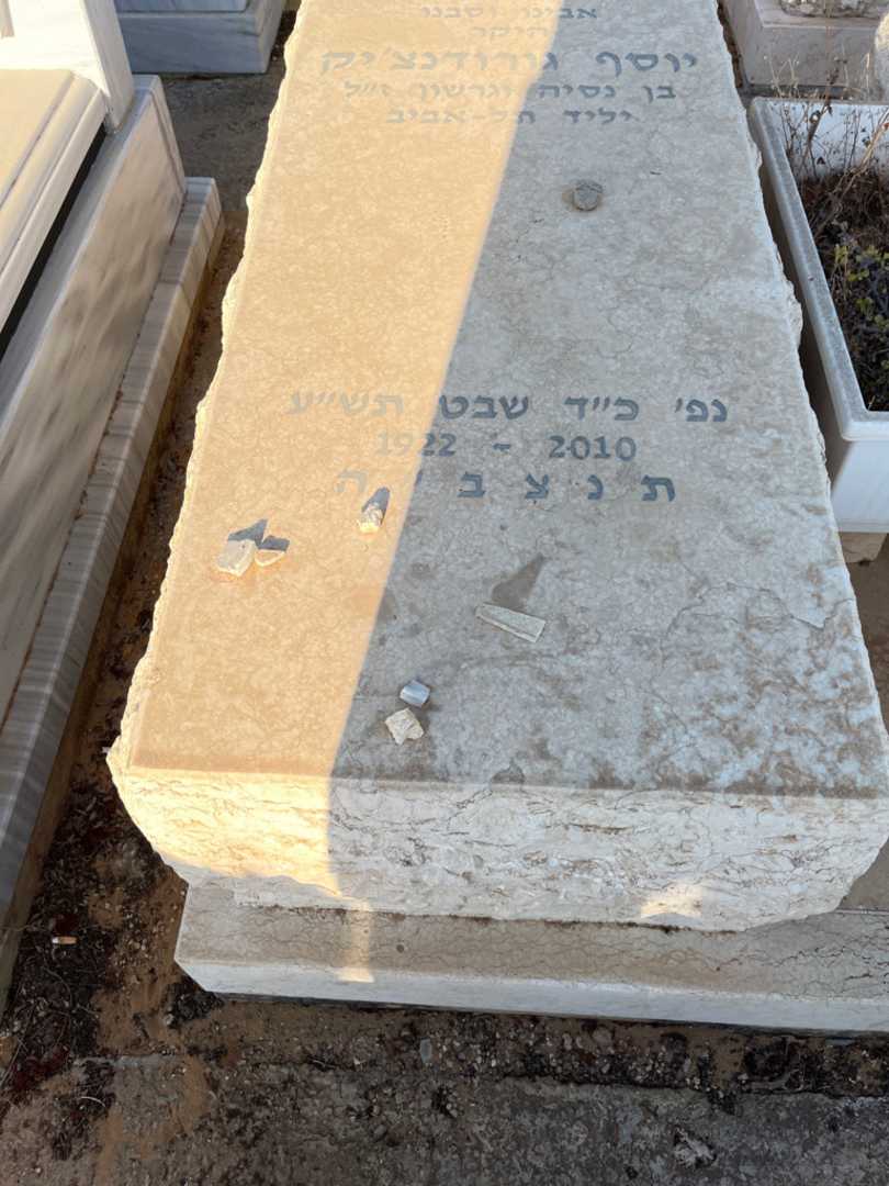 קברו של יוסף גורודנצ'יק. תמונה 2