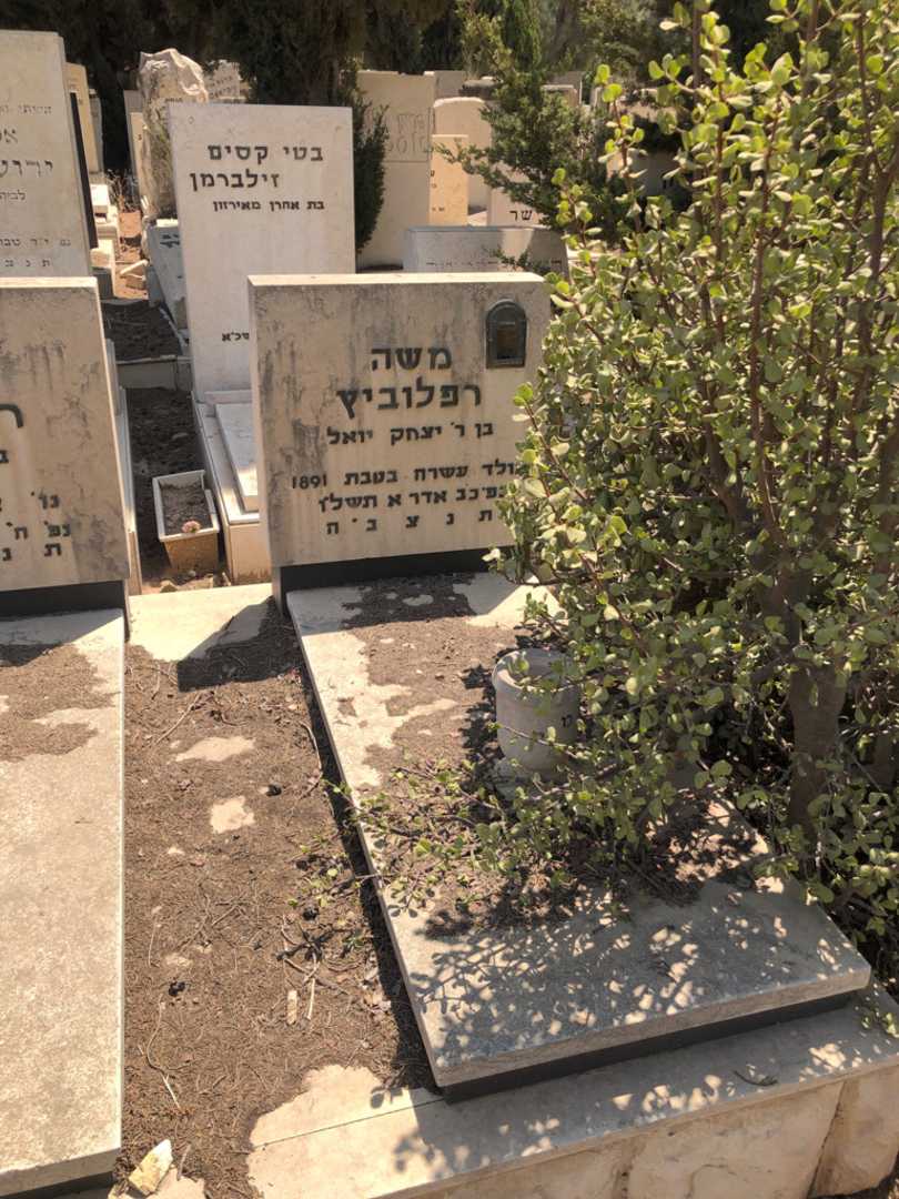 קברו של משה רפלוביץ. תמונה 1