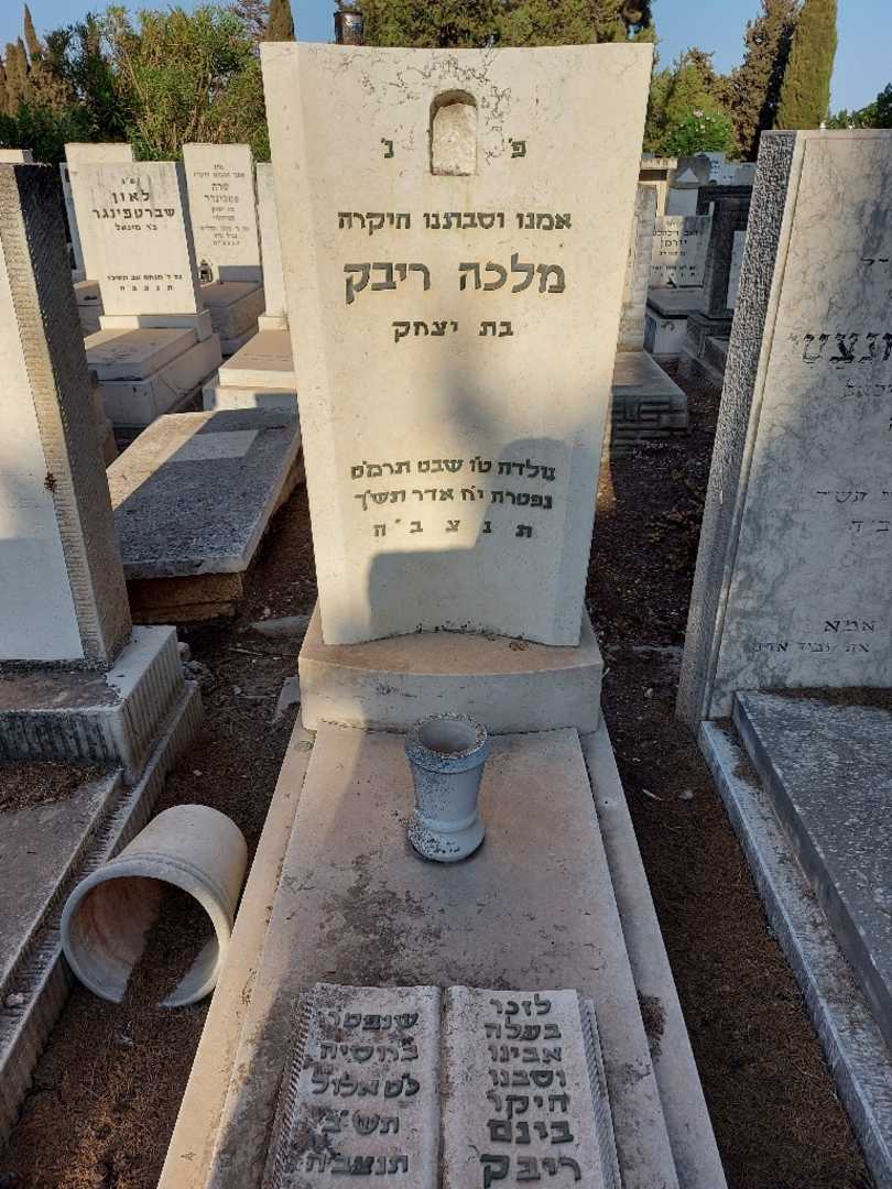 קברו של בינם ריבק
