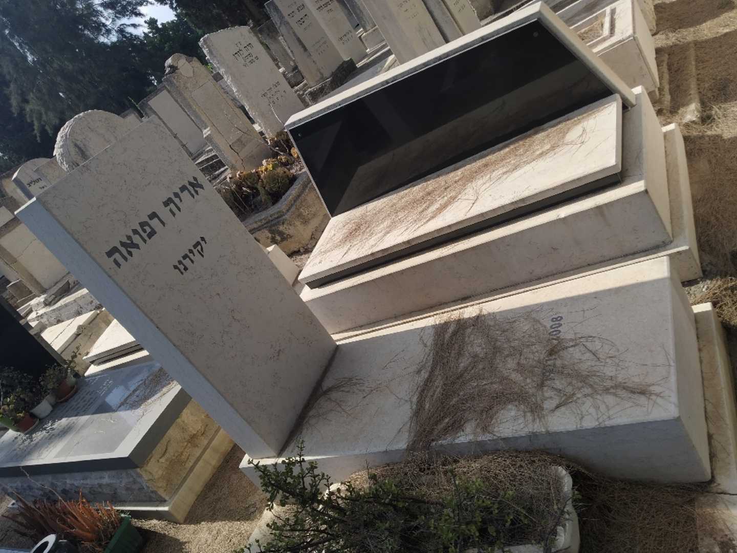 קברו של אריה רפואה