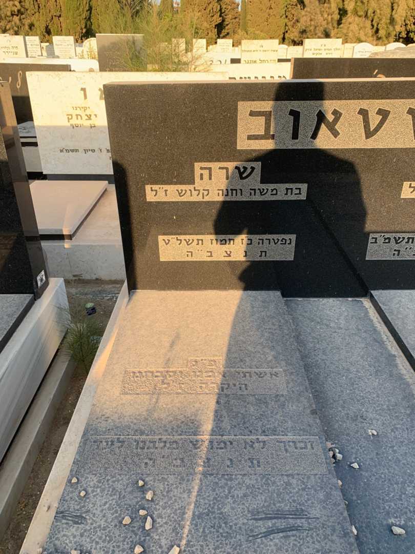 קברו של שרה שטאוב. תמונה 2