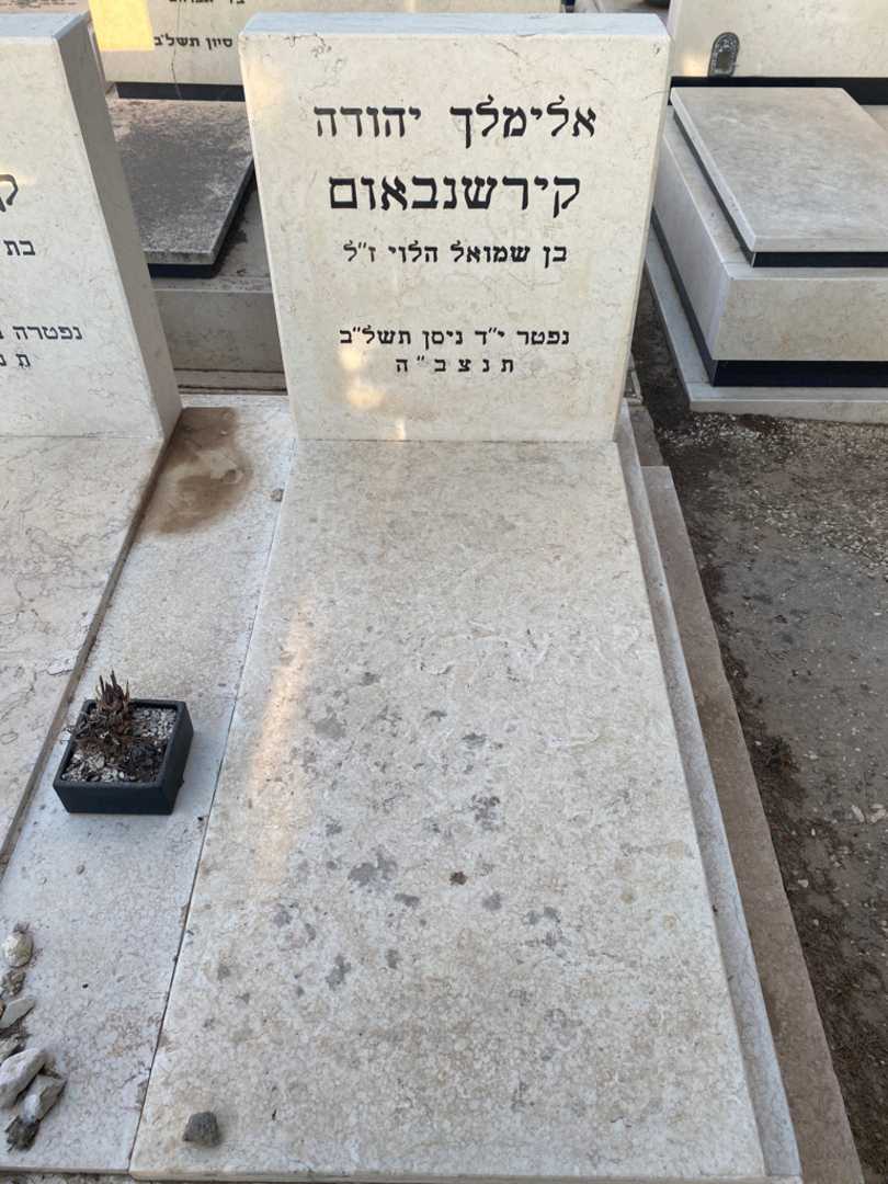 קברו של אלימלך יהודה קירשנבאום. תמונה 1