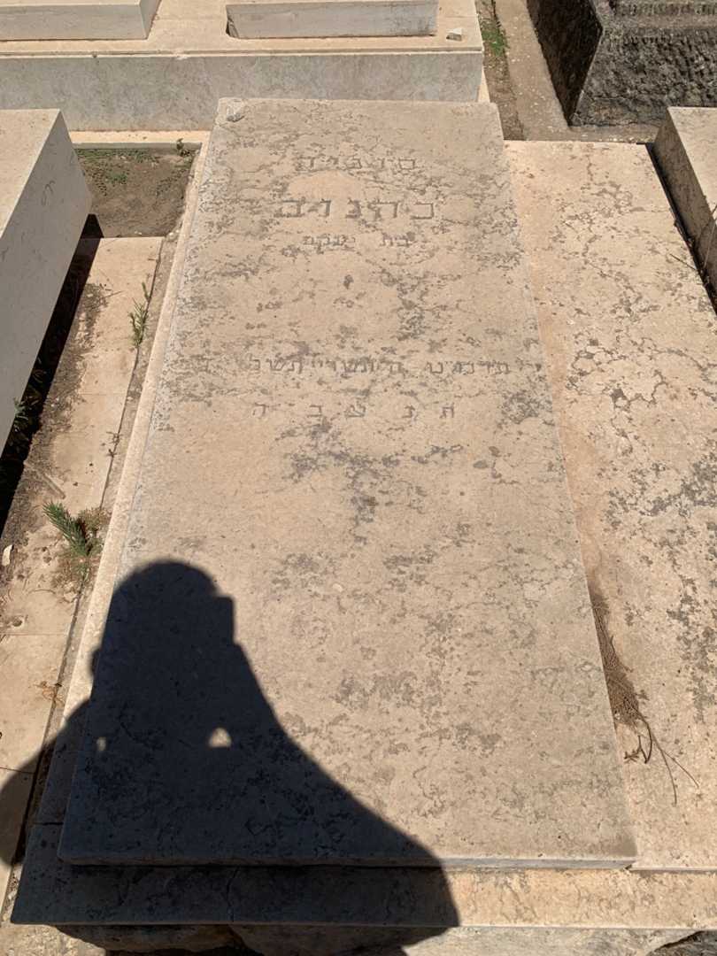 קברו של סופיה כהנוב. תמונה 2