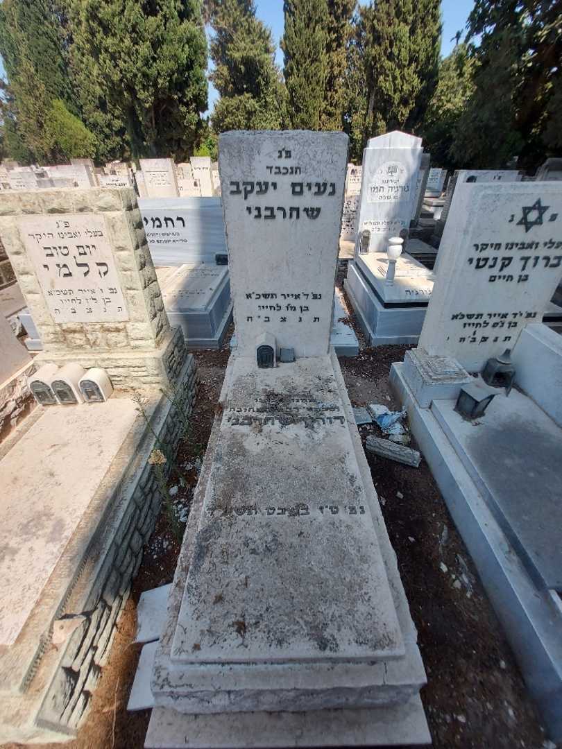 קברו של דורין שהרבני. תמונה 1