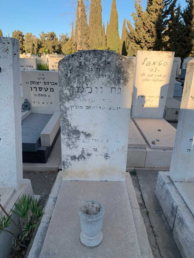 קברו של נח וולמן