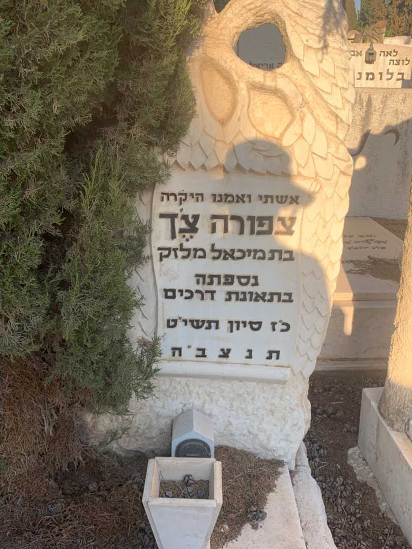 קברו של צפורה צך