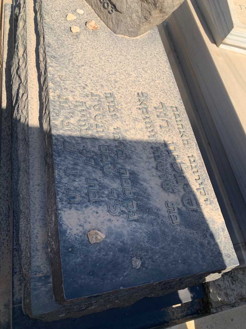 קברו של סיגלית דוד. תמונה 2