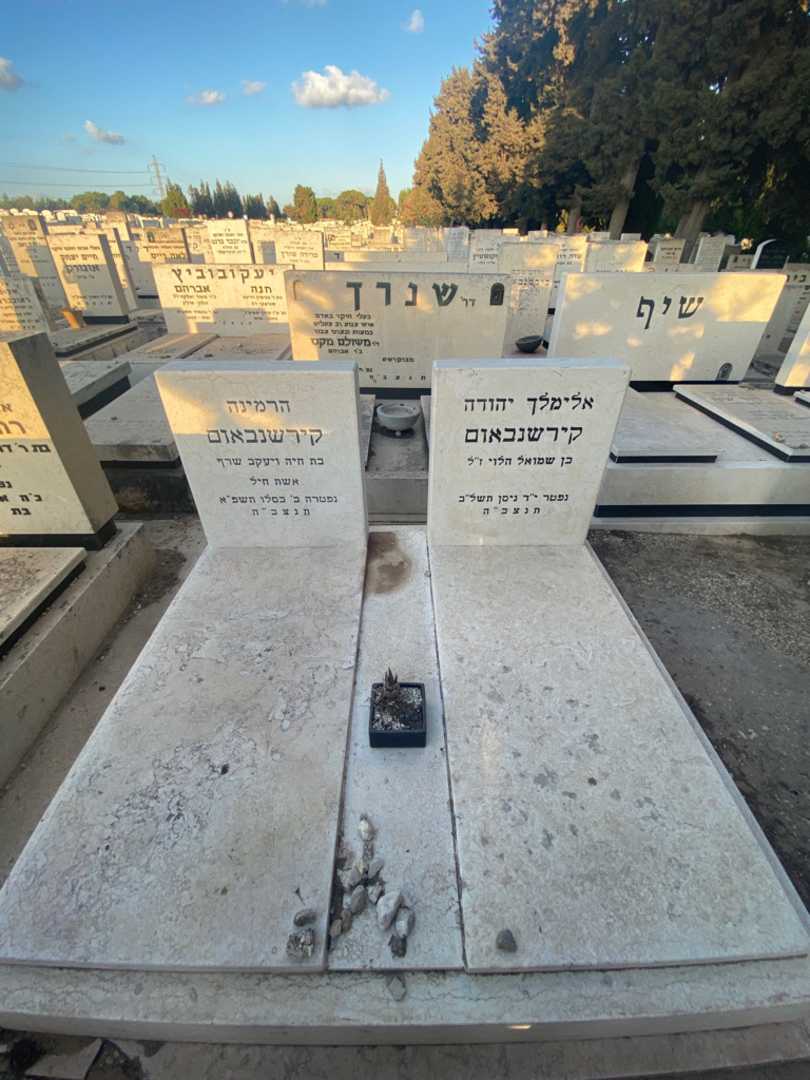 קברו של אלימלך יהודה קירשנבאום. תמונה 2