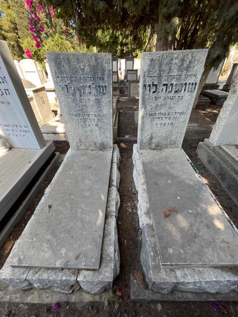 קברו של שושנה לוי. תמונה 1