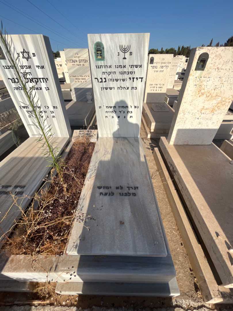 קברו של דיזי "שושנה" נגר. תמונה 1