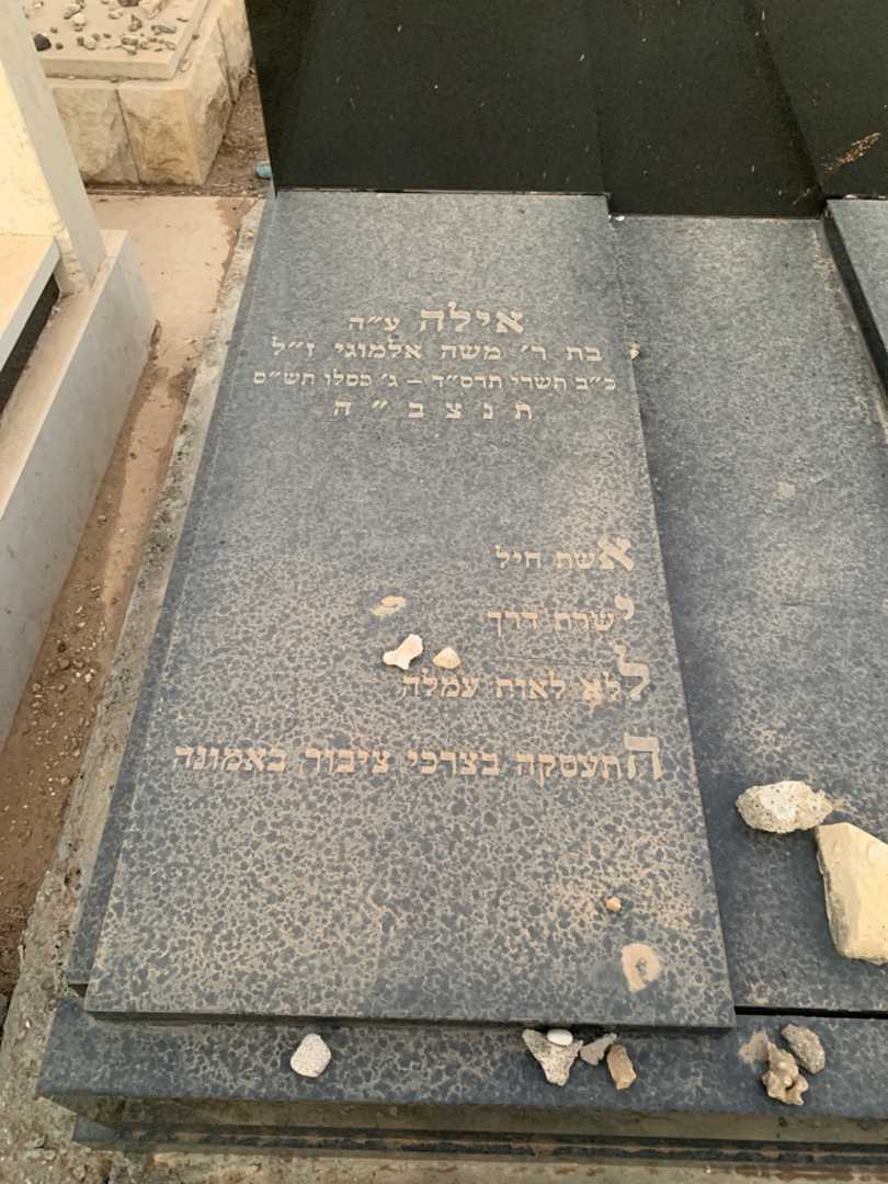 קברו של אילה רוזמרין. תמונה 2