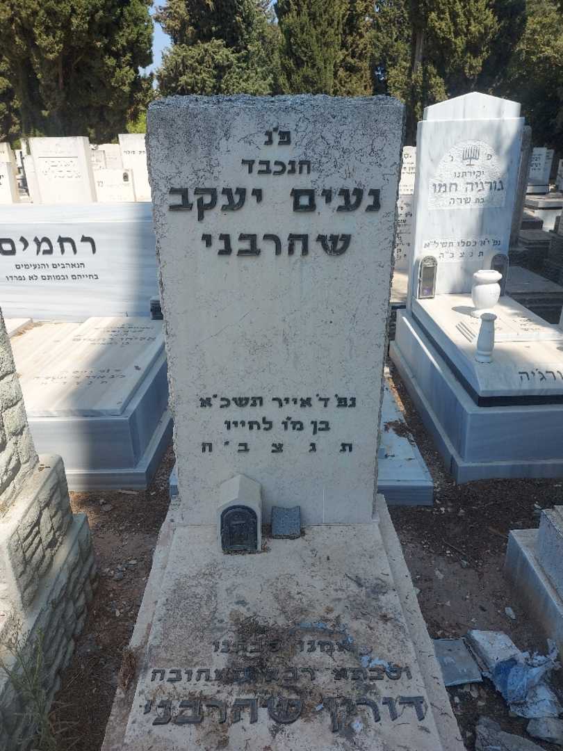 קברו של דורין שהרבני. תמונה 2