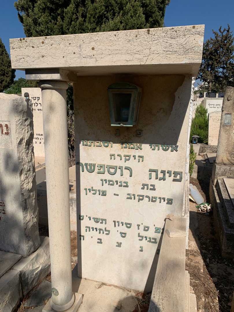 קברו של פיגה רוספשר. תמונה 2