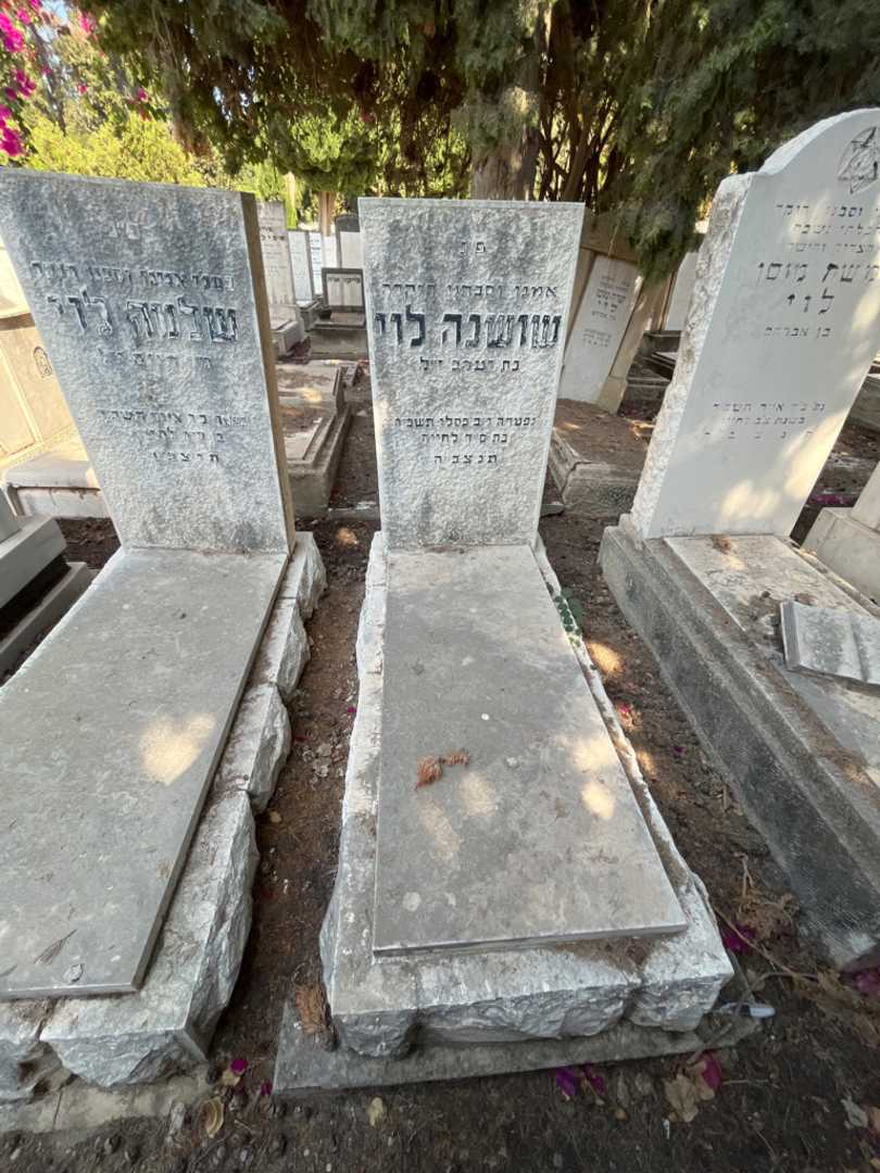 קברו של שושנה לוי. תמונה 2