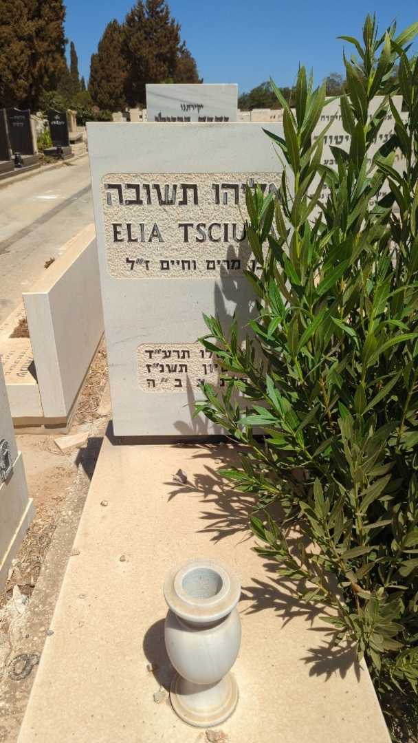 קברו של אליהו תשובה. תמונה 1