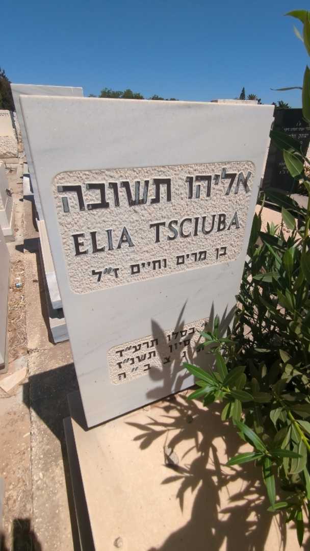 קברו של אליהו תשובה. תמונה 2