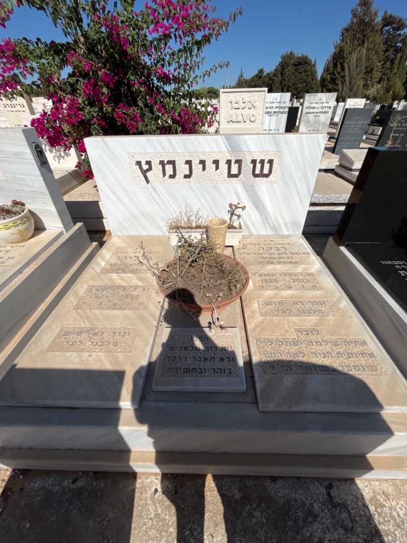 קברו של גדליהו שטיינמץ. תמונה 1