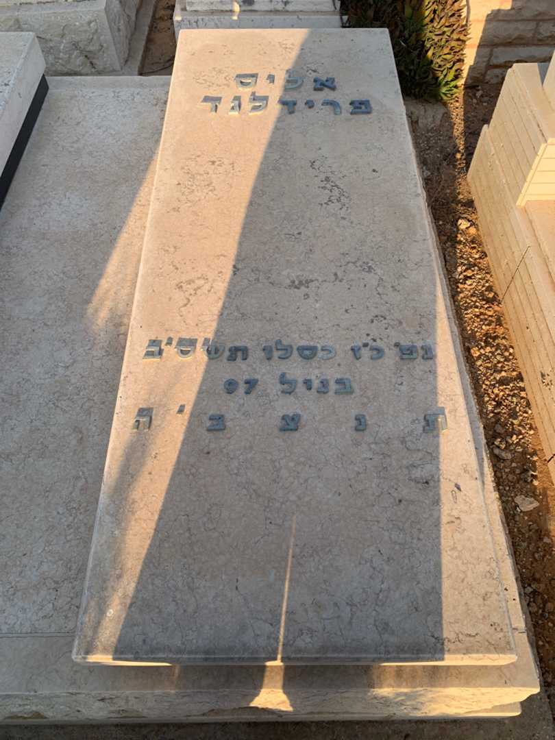 קברו של אליס פרידלנד. תמונה 2