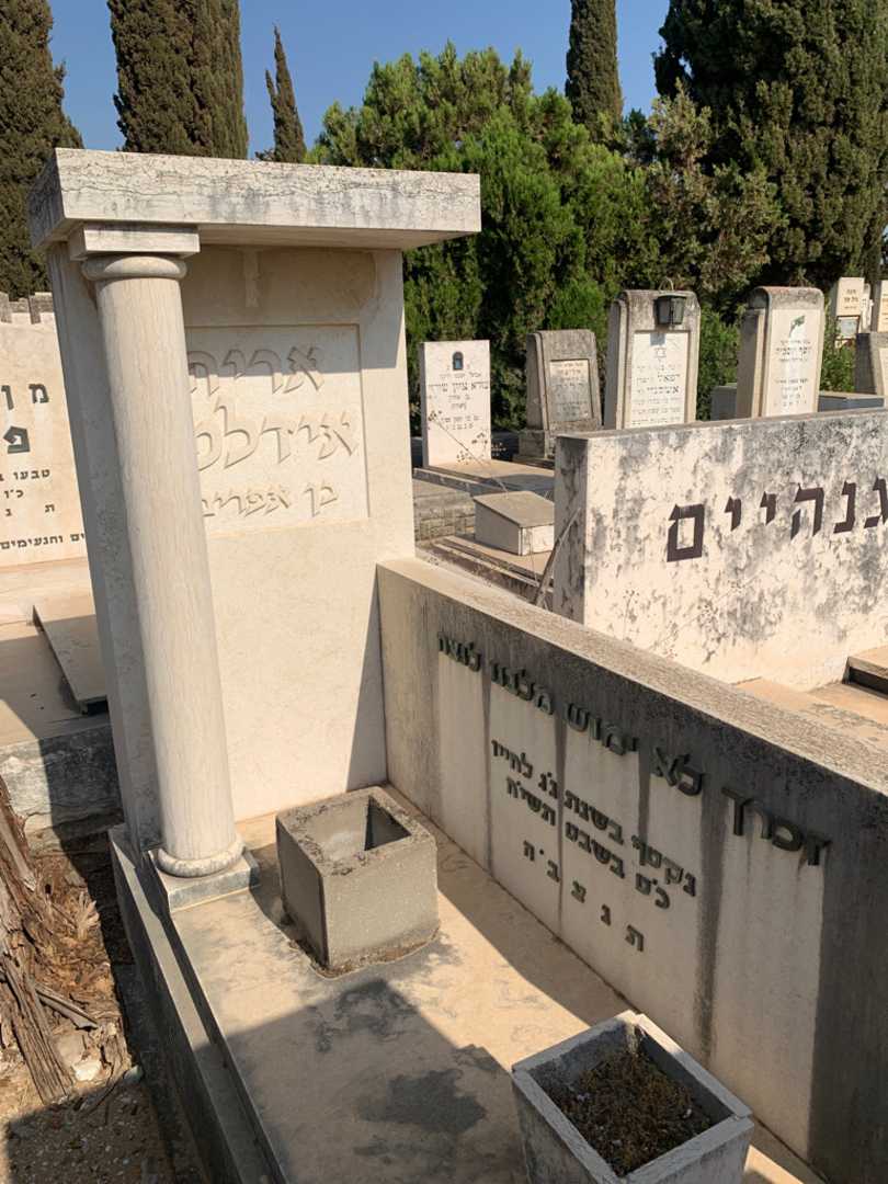 קברו של אריה אידלמן. תמונה 1