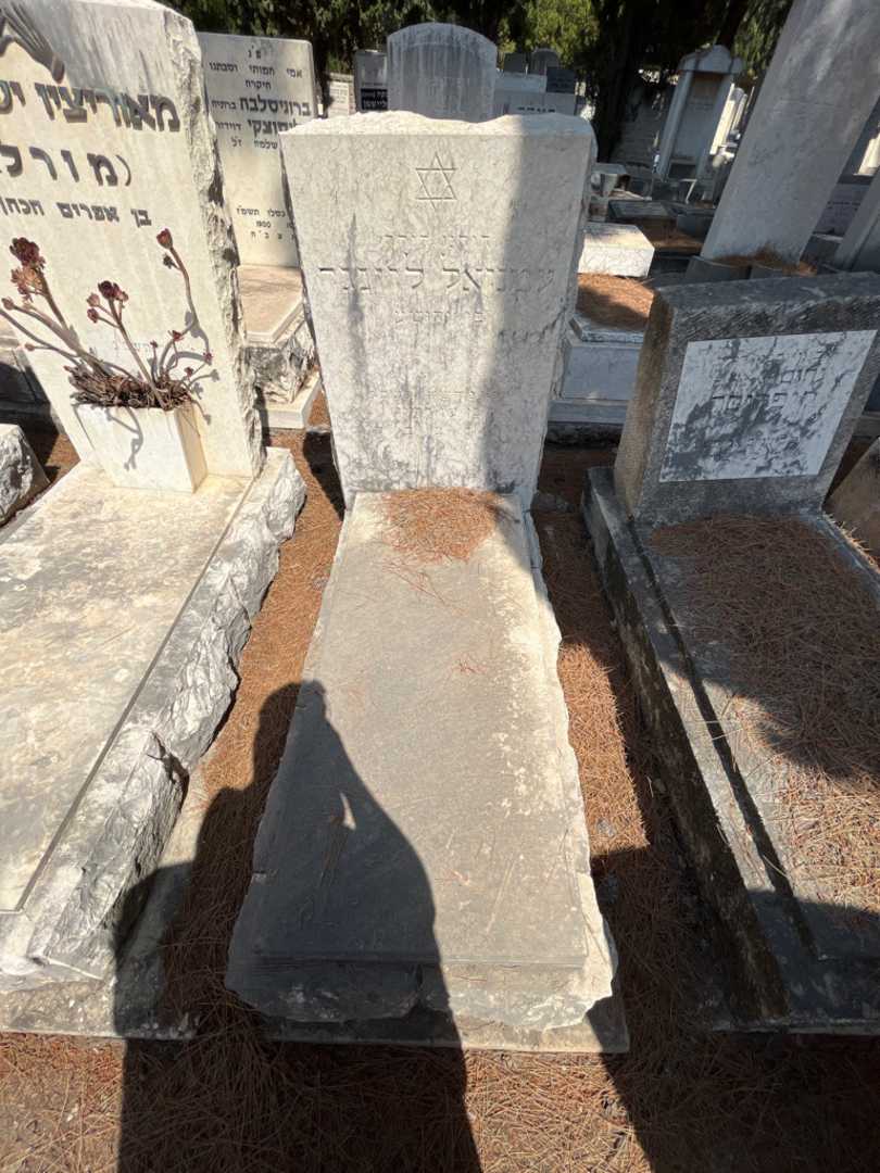 קברו של עמנואל לוינגר