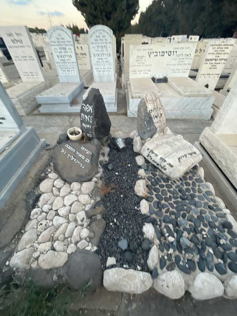 קברו של משה "מוסה" עמית. תמונה 1