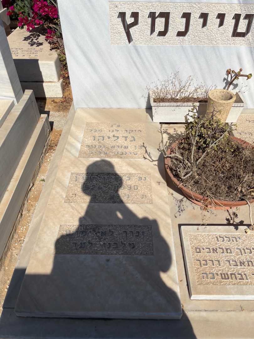 קברו של גדליהו שטיינמץ. תמונה 2