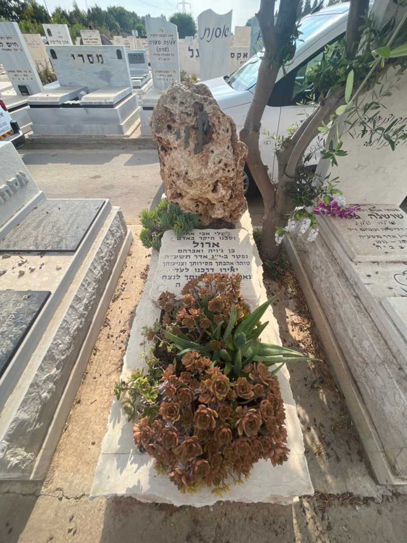 קברו של ארול לוי