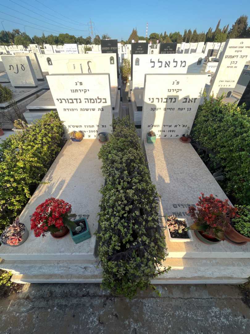 קברו של בלומה נדבורני. תמונה 1