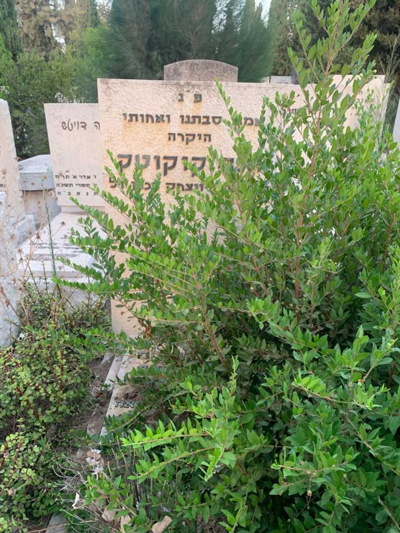 קברו של חנה קוקוטק. תמונה 1