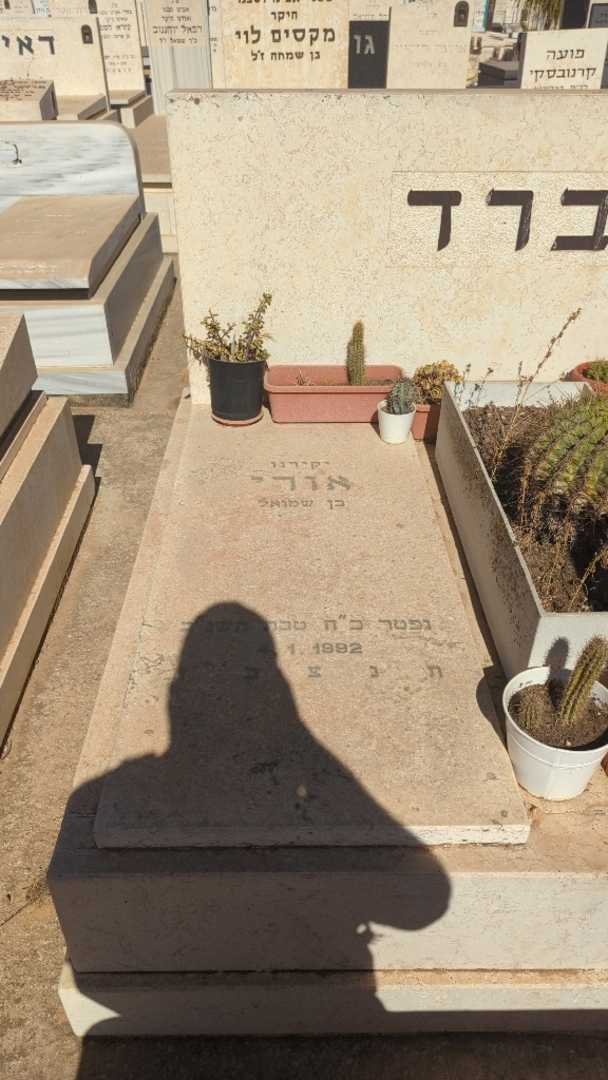 קברו של אורי ברד. תמונה 1