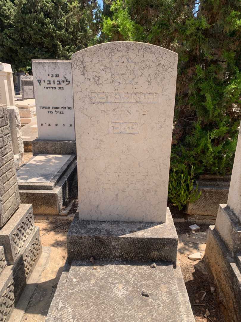 קברו של יחיאל מיכל שק