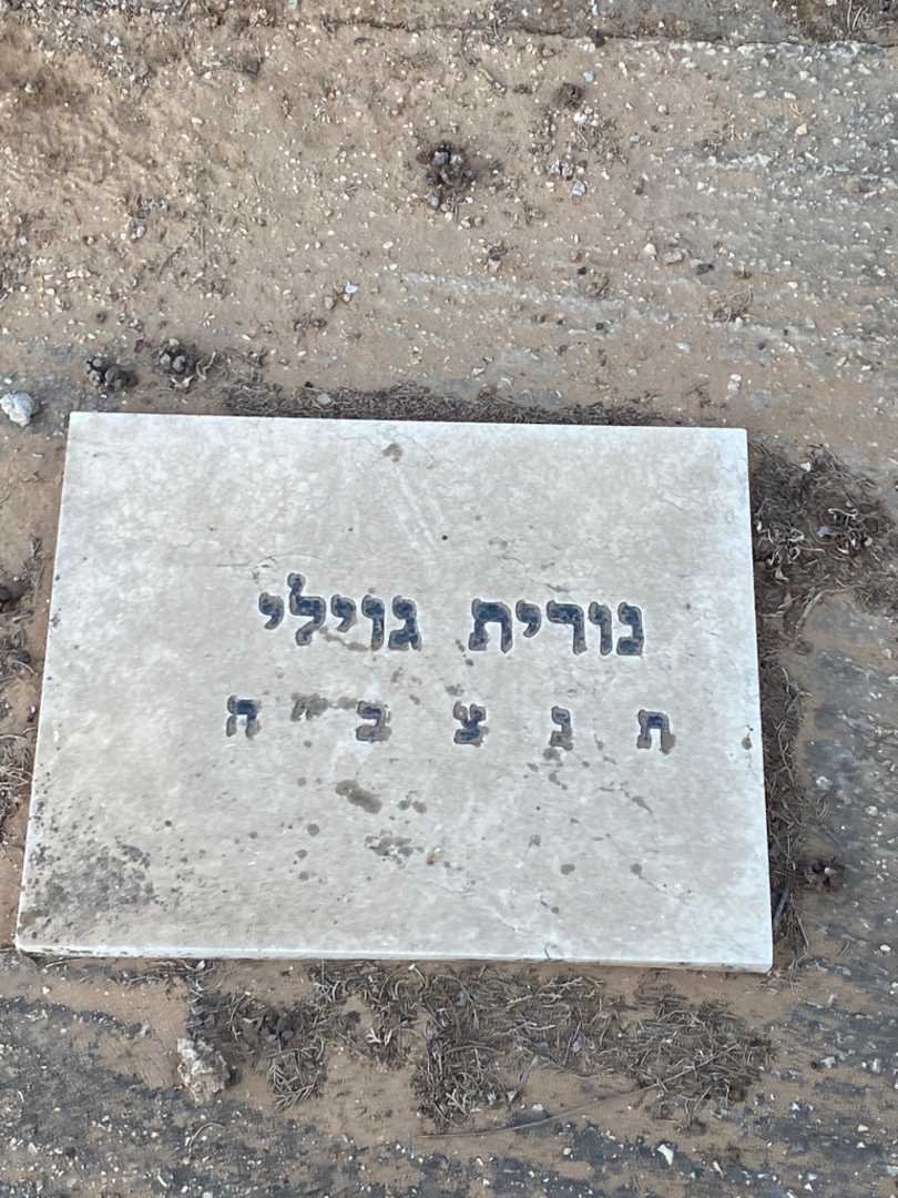 קברו של נורית גוילי