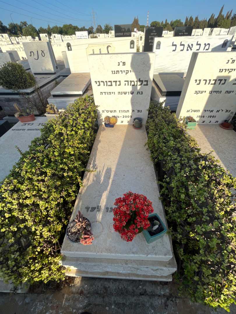 קברו של בלומה נדבורני. תמונה 2