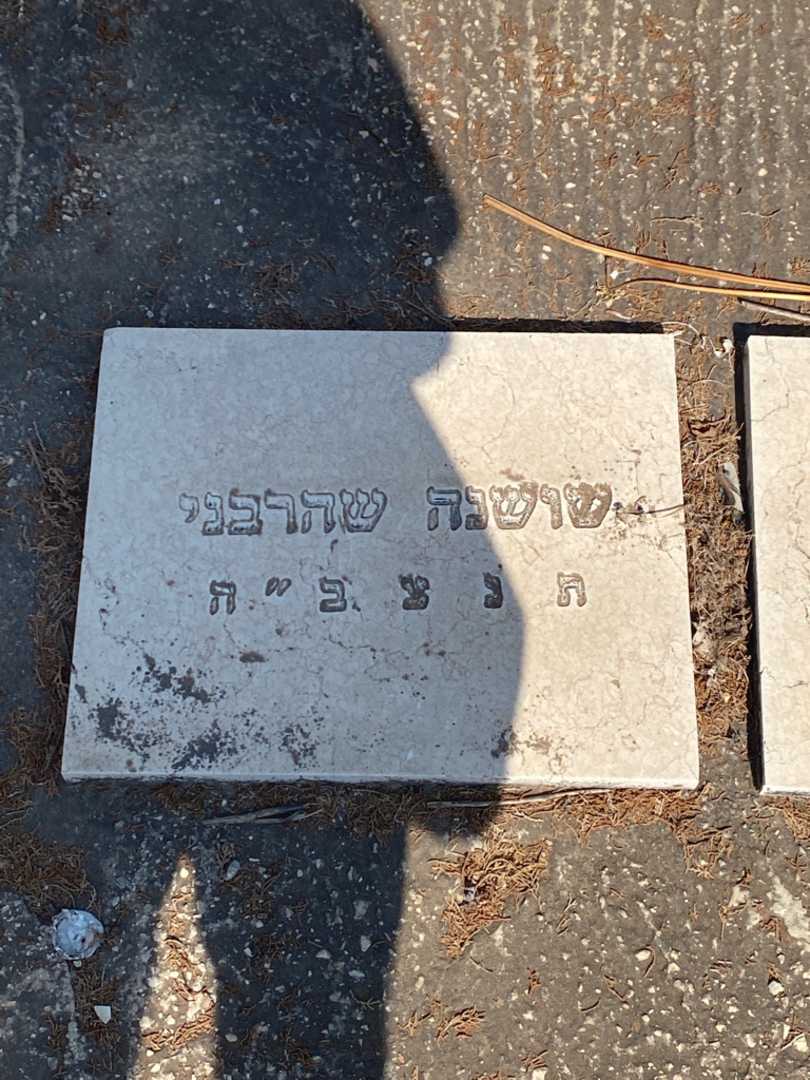 קברו של שושנה שהרבני