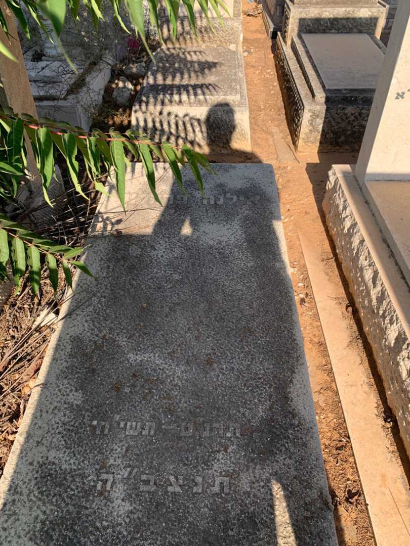 קברו של אילנה פרהלץ. תמונה 1