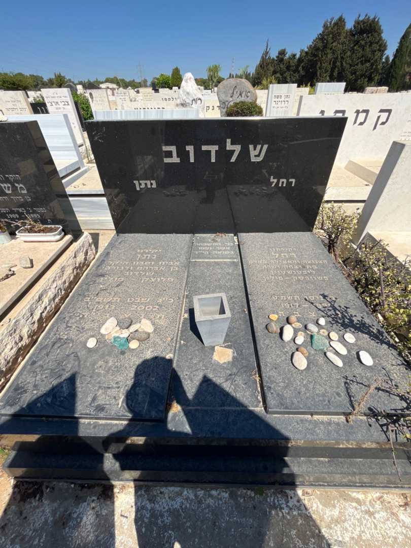 קברו של נתן שלדוב. תמונה 2