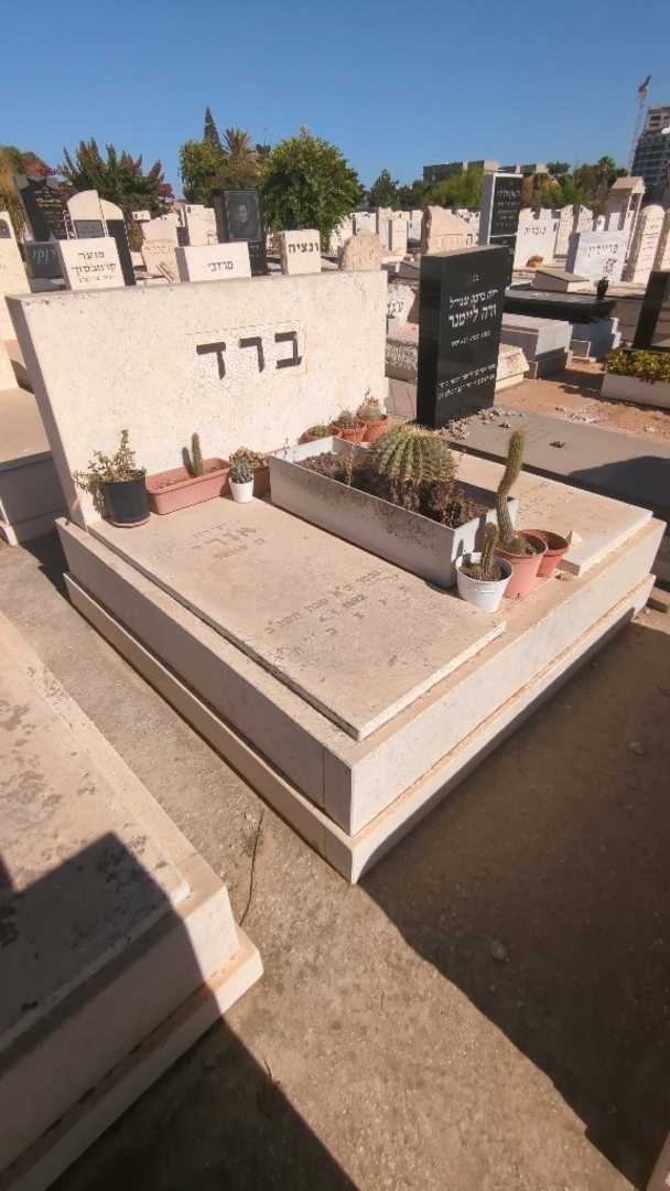קברו של אורי ברד. תמונה 2