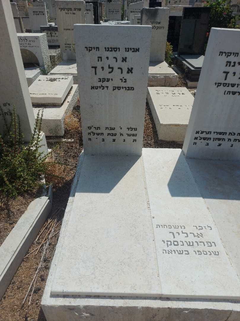 קברו של אריה ארליך. תמונה 1