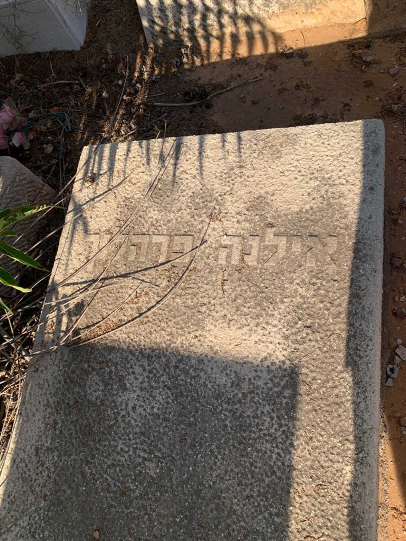 קברו של אילנה פרהלץ. תמונה 2