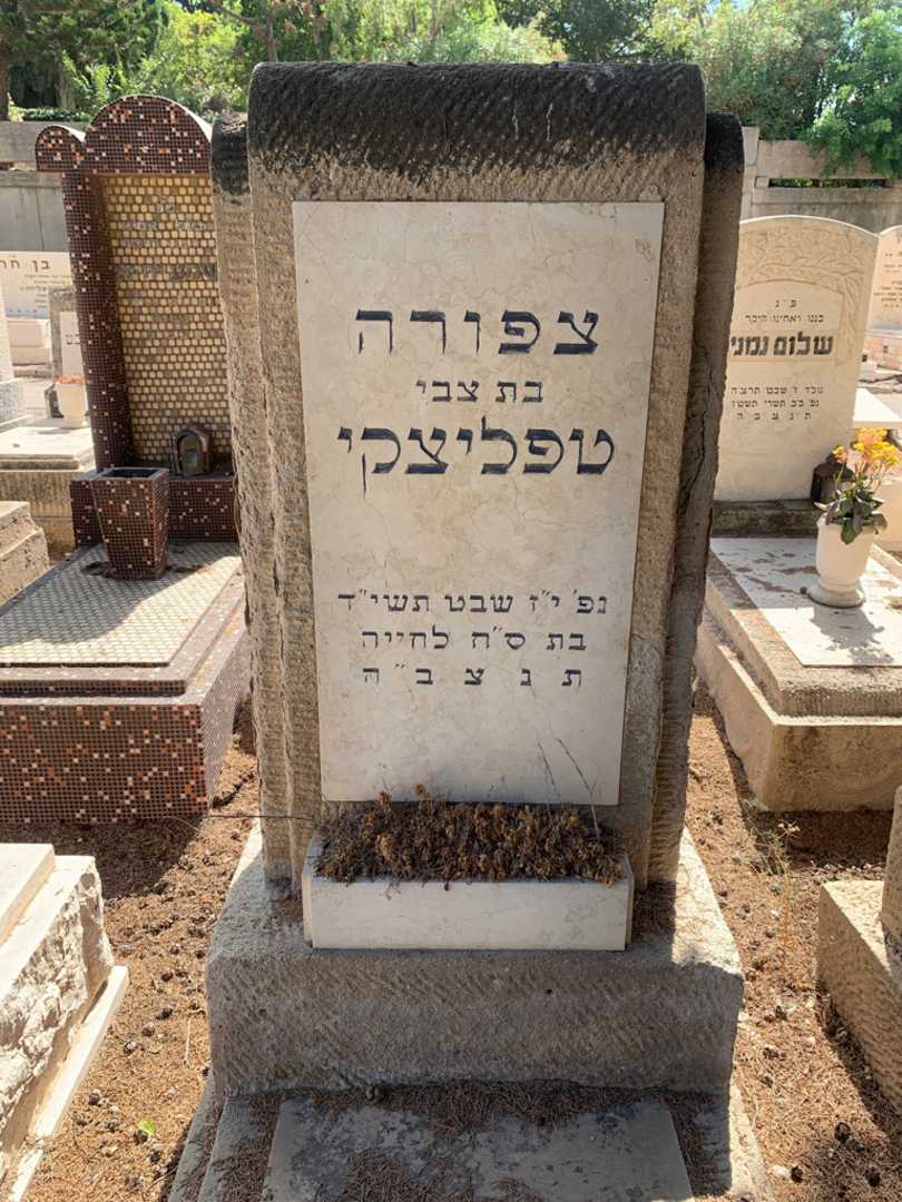 קברו של צפורה טפליצקי
