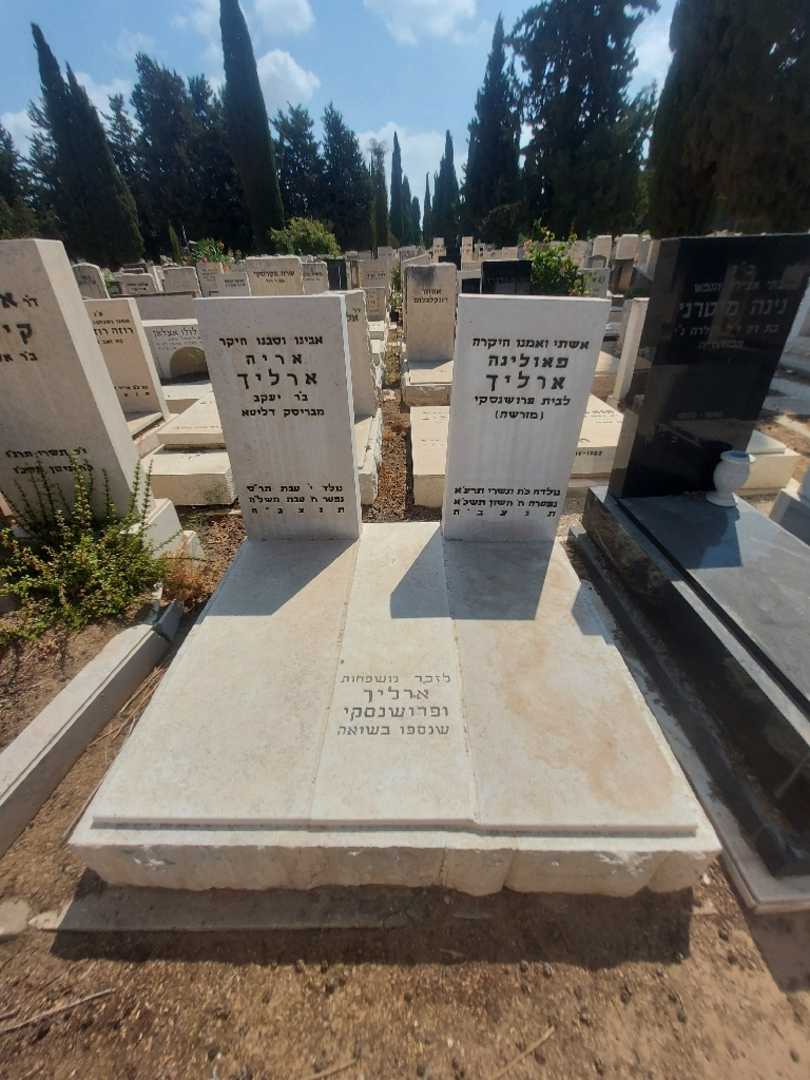 קברו של אריה ארליך. תמונה 2