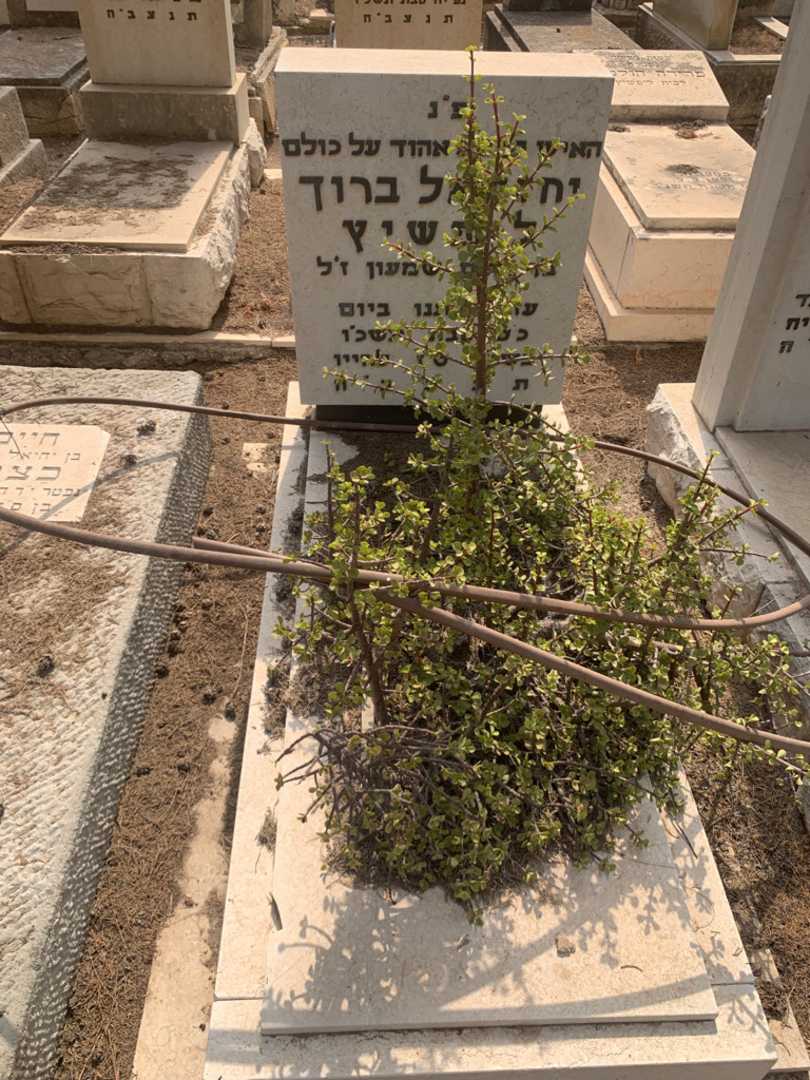 קברו של יחזקאל ברוך ליפשיץ. תמונה 2