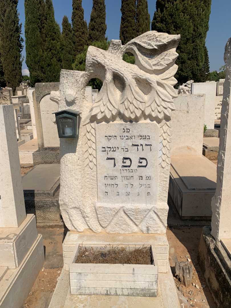 קברו של דוד פפר