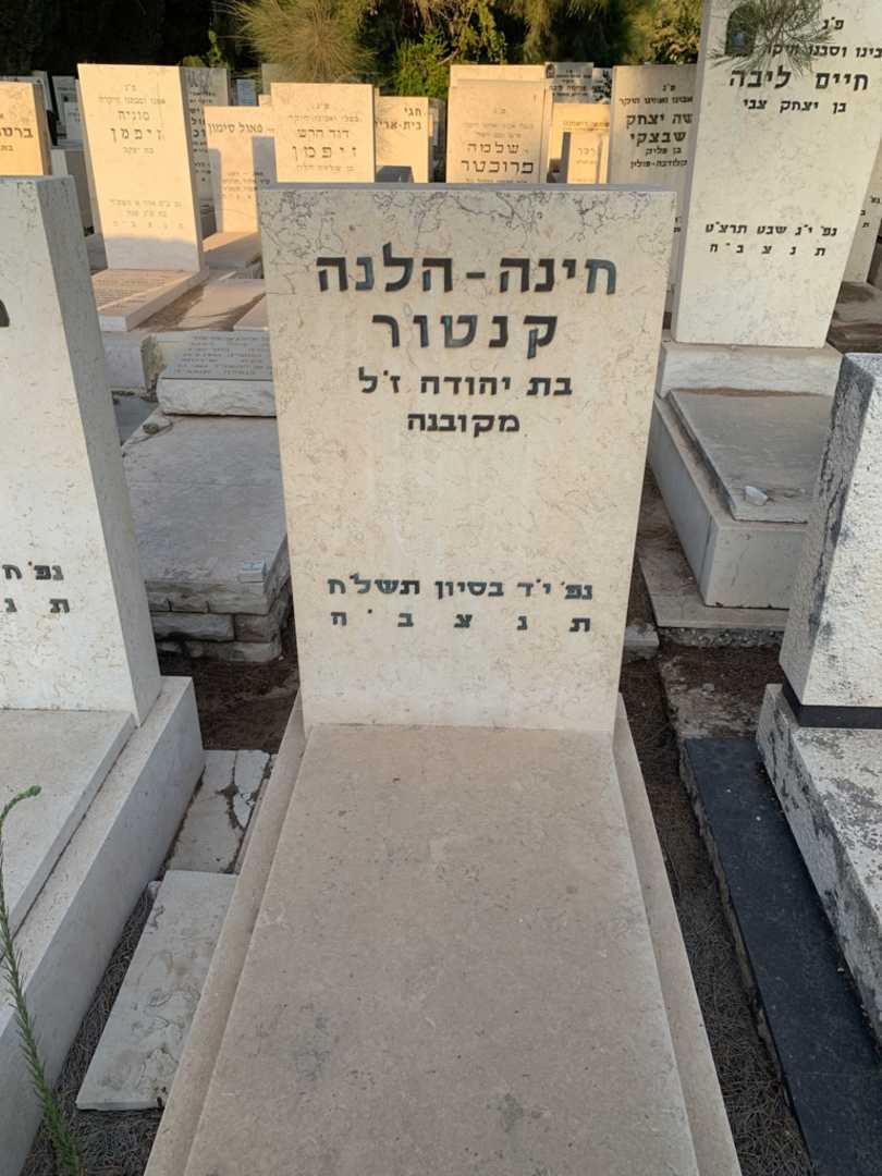 קברו של חינה - הלנה קנטור