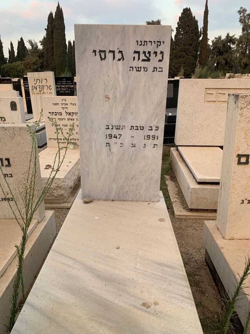 קברו של ניצה ג'רסי