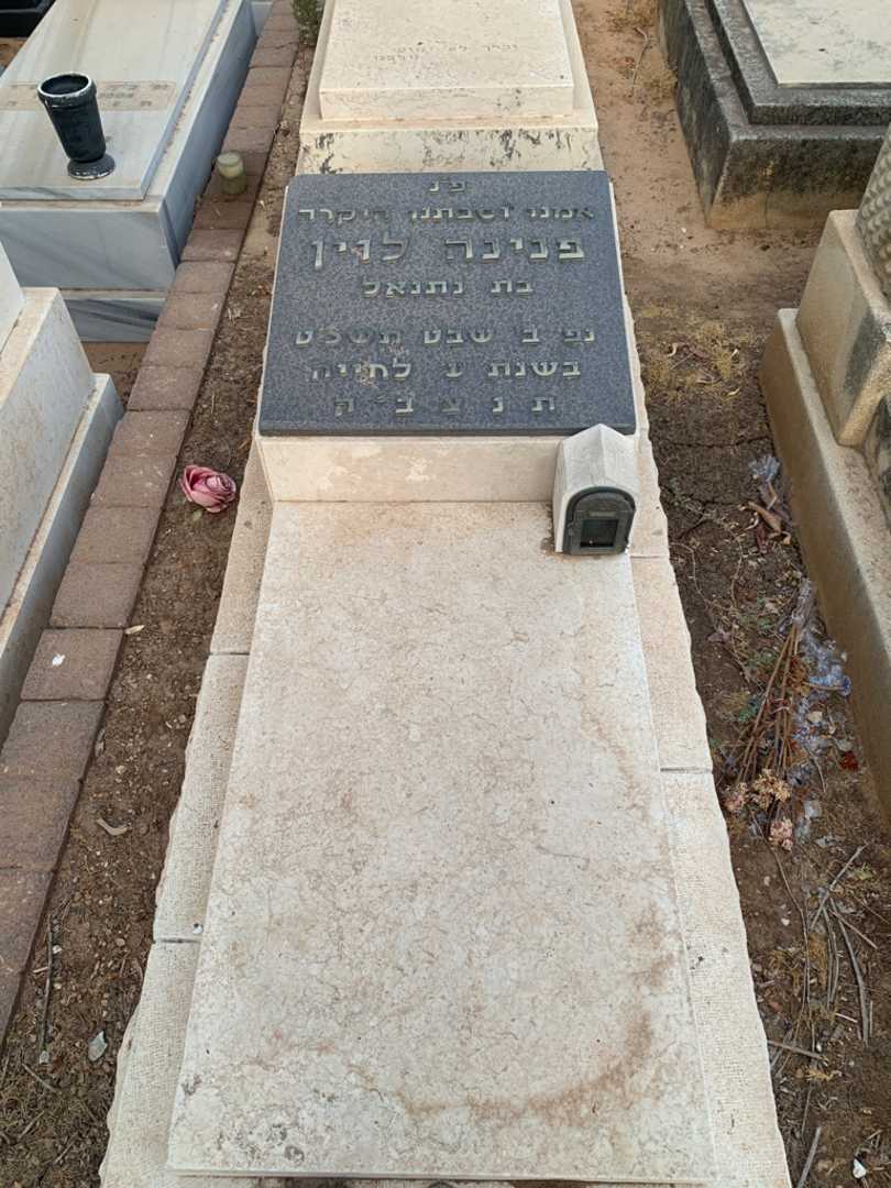 קברו של פנינה לוין