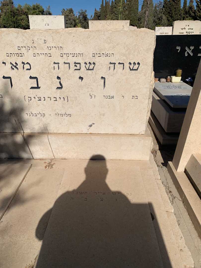 קברו של שרה שפרה וינברג (ויברנצ'יק). תמונה 2