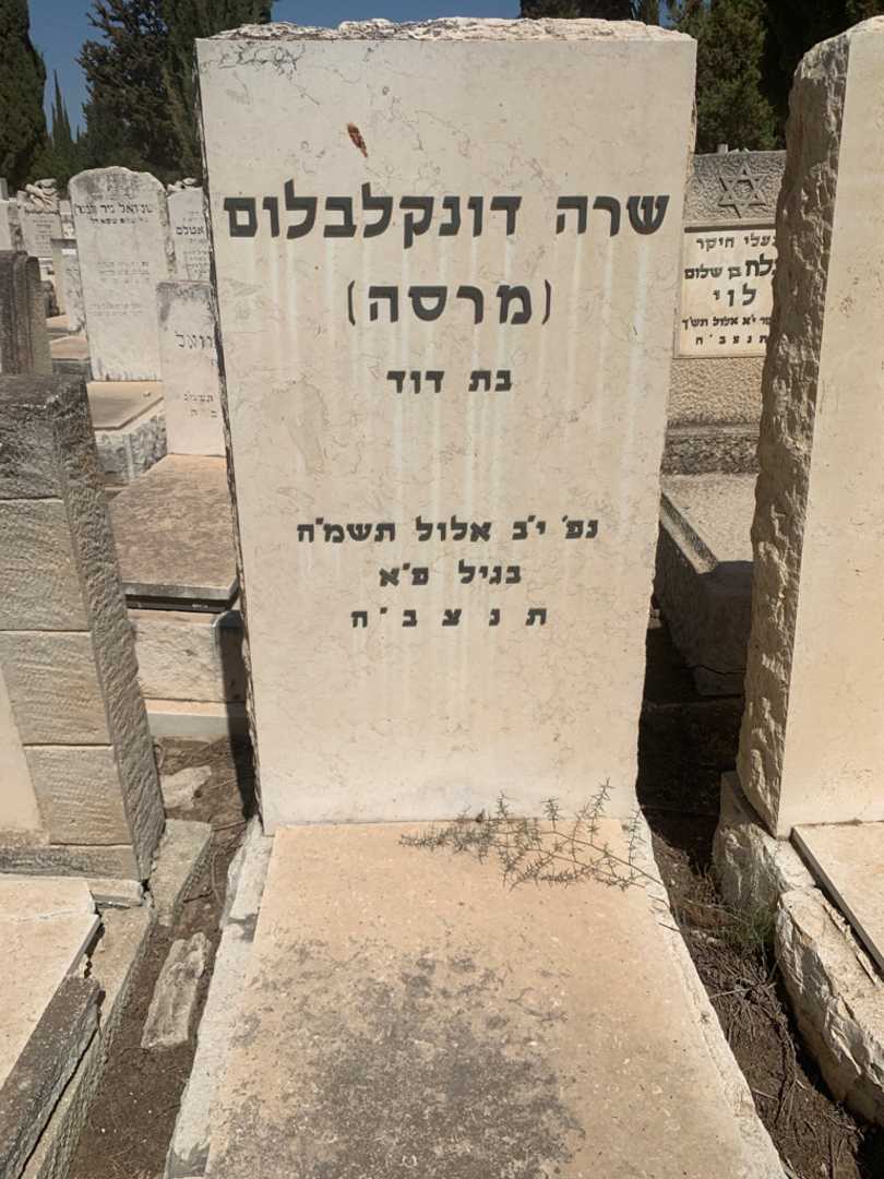 קברו של שרה "מרסה" דונקלבלום