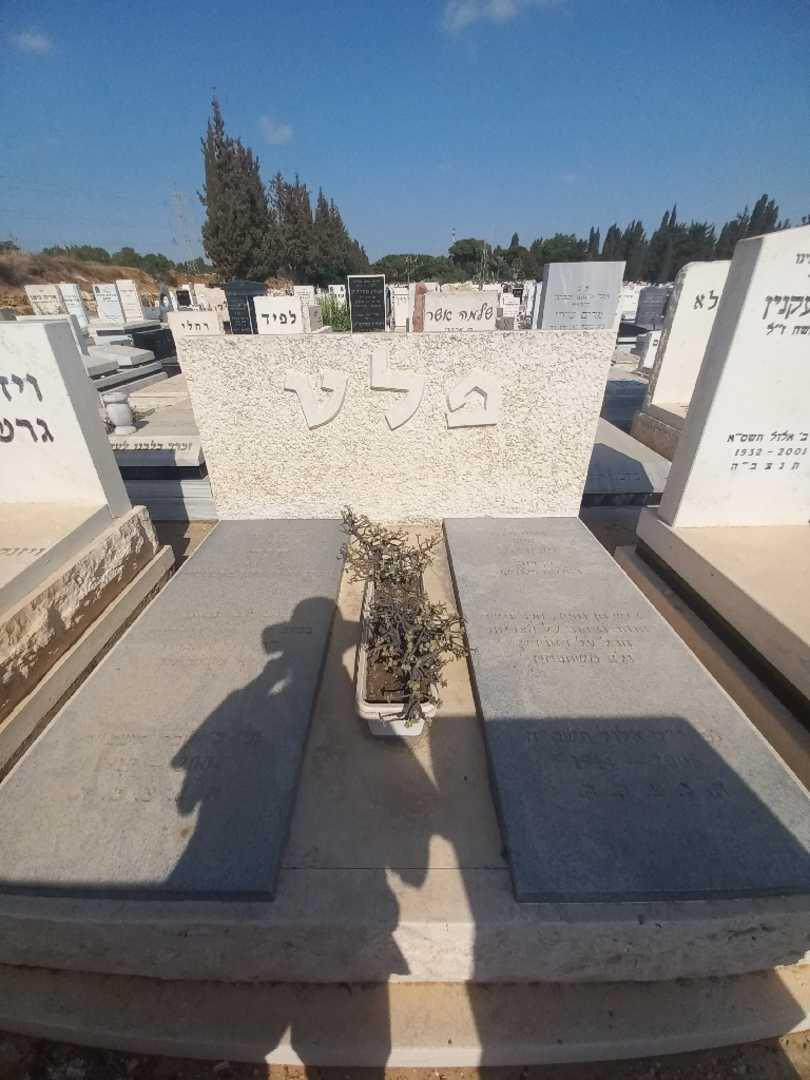 קברו של חנה פלט. תמונה 2